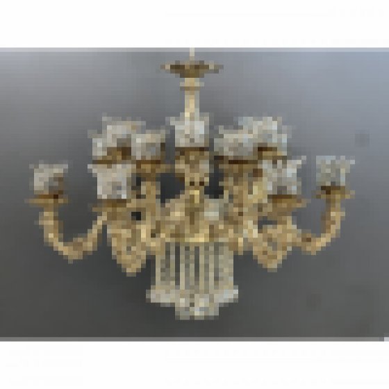 شاخه پسر بچه